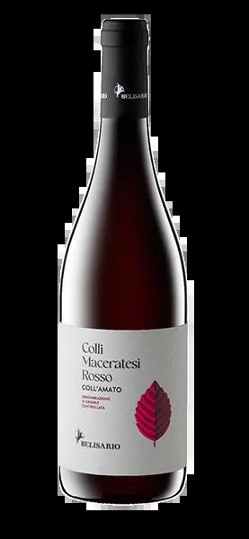 Coll'Amato - Colli Maceratesi Rosso DOC 2022